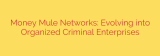 Money Mule Networks: Evolving into Organized Criminal Enterprises