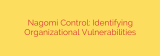 Nagomi Control: Identifying Organizational Vulnerabilities
