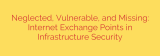 Neglected, Vulnerable, and Missing: Internet Exchange Points in Infrastructure Security