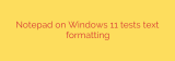 Notepad on Windows 11 tests text formatting