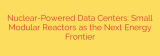 Nuclear-Powered Data Centers: Small Modular Reactors as the Next Energy Frontier