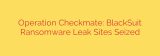 Operation Checkmate: BlackSuit Ransomware Leak Sites Seized