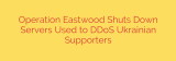 Operation Eastwood Shuts Down Servers Used to DDoS Ukrainian Supporters