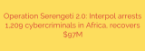 Operation Serengeti 2.0: Interpol arrests 1,209 cybercriminals in Africa, recovers $97M