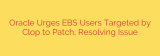 Oracle Urges EBS Users Targeted by Clop to Patch, Resolving Issue