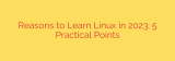 Reasons to Learn Linux in 2023: 5 Practical Points