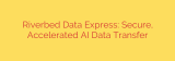 Riverbed Data Express: Secure, Accelerated AI Data Transfer