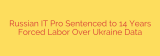 Russian IT Pro Sentenced to 14 Years Forced Labor Over Ukraine Data