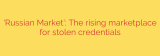 ‘Russian Market’: The rising marketplace for stolen credentials