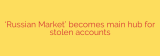 ‘Russian Market’ becomes main hub for stolen accounts