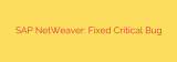 SAP NetWeaver: Fixed Critical Bug