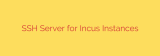 SSH Server for Incus Instances