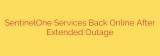 SentinelOne Services Back Online After Extended Outage