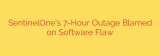SentinelOne’s 7-Hour Outage Blamed on Software Flaw