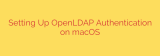 Setting Up OpenLDAP Authentication on macOS