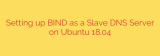 Setting up BIND as a Slave DNS Server on Ubuntu 18.04