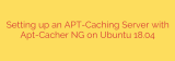 Setting up an APT-Caching Server with Apt-Cacher NG on Ubuntu 18.04