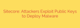 Sitecore: Attackers Exploit Public Keys to Deploy Malware