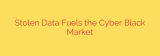 Stolen Data Fuels the Cyber Black Market