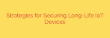 Strategies for Securing Long-Life IoT Devices