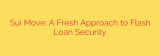 Sui Move: A Fresh Approach to Flash Loan Security