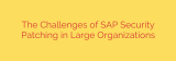 The Challenges of SAP Security Patching in Large Organizations