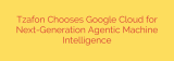 Tzafon Chooses Google Cloud for Next-Generation Agentic Machine Intelligence