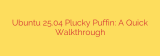 Ubuntu 25.04 Plucky Puffin: A Quick Walkthrough