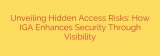 Unveiling Hidden Access Risks: How IGA Enhances Security Through Visibility