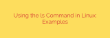 Using the ls Command in Linux: Examples