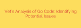 Vet’s Analysis of Go Code: Identifying Potential Issues