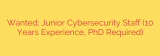 Wanted: Junior Cybersecurity Staff (10 Years Experience, PhD Required)