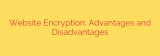 Website Encryption: Advantages and Disadvantages