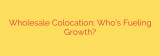 Wholesale Colocation: Who’s Fueling Growth?