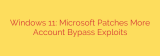 Windows 11: Microsoft Patches More Account Bypass Exploits