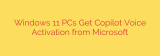 Windows 11 PCs Get Copilot Voice Activation from Microsoft