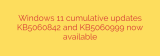 Windows 11 cumulative updates KB5060842 and KB5060999 now available
