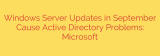 Windows Server Updates in September Cause Active Directory Problems: Microsoft