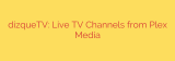dizqueTV: Live TV Channels from Plex Media